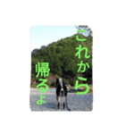 ふじむぎさん（個別スタンプ：5）