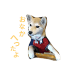 ふじむぎさん（個別スタンプ：10）