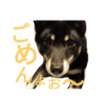 ふじむぎさん（個別スタンプ：19）