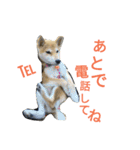 ふじむぎさん（個別スタンプ：24）