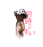 ゆにちゃん（個別スタンプ：7）