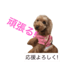 つぶファミリー（個別スタンプ：27）