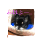 メロメロめろん（個別スタンプ：2）