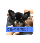 メロメロめろん（個別スタンプ：3）