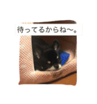 メロメロめろん（個別スタンプ：5）