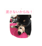 メロメロめろん（個別スタンプ：7）