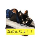メロメロめろん（個別スタンプ：8）