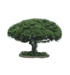 haP life（個別スタンプ：3）