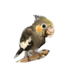 haP life（個別スタンプ：8）