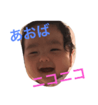 我が家の蒼葉くん。2（個別スタンプ：1）