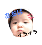 我が家の蒼葉くん。2（個別スタンプ：3）