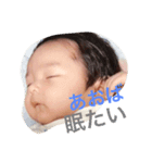 我が家の蒼葉くん。2（個別スタンプ：4）