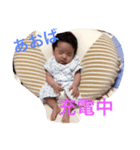 我が家の蒼葉くん。2（個別スタンプ：5）