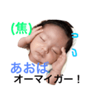 我が家の蒼葉くん。2（個別スタンプ：6）