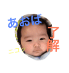 我が家の蒼葉くん。2（個別スタンプ：8）