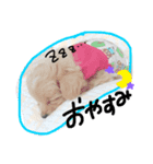 かわいいここちゃん（個別スタンプ：6）