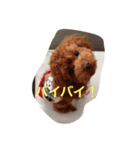 ちったんスタンプ（個別スタンプ：6）