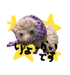 FIG＆JIROMARU（個別スタンプ：4）