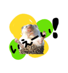 FIG＆JIROMARU（個別スタンプ：11）