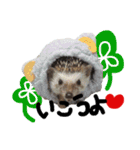 FIG＆JIROMARU（個別スタンプ：13）