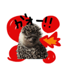 FIG＆JIROMARU（個別スタンプ：18）