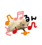 FIG＆JIROMARU（個別スタンプ：20）