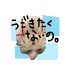 FIG＆JIROMARU（個別スタンプ：22）