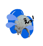 FIG＆JIROMARU（個別スタンプ：23）