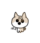 ちゃんこはかわいい（個別スタンプ：9）