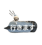 syutanpu！（個別スタンプ：14）