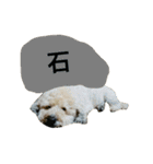 syutanpu！（個別スタンプ：30）