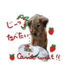 My Life with Fine.(in Fall)（個別スタンプ：8）
