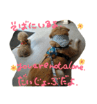 My Life with Fine.(in Fall)（個別スタンプ：9）