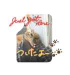 My Life with Fine.(in Fall)（個別スタンプ：20）