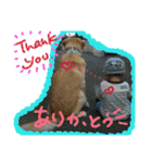 My Life with Fine.(in Fall)（個別スタンプ：21）