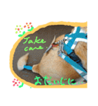 My Life with Fine.(in Fall)（個別スタンプ：22）