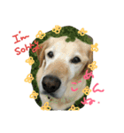My Life with Fine.(in Fall)（個別スタンプ：24）