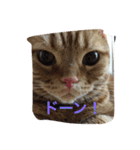 Taro.Hana（個別スタンプ：14）