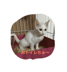 Taro.Hana（個別スタンプ：15）
