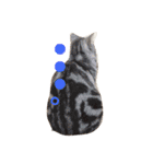 気持ちを伝えたい猫（個別スタンプ：4）