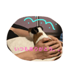 もる日記（個別スタンプ：1）