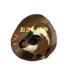 もる日記（個別スタンプ：2）