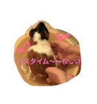 もる日記（個別スタンプ：3）