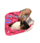 もる日記（個別スタンプ：5）