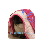 もる日記（個別スタンプ：7）