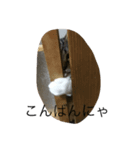 猫のこじろーの日常をどうぞ！（個別スタンプ：8）