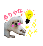 いぬのJOYくん（個別スタンプ：16）