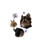 kuon（個別スタンプ：3）