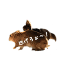 kuon（個別スタンプ：6）