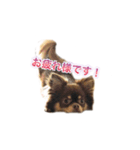 kuon（個別スタンプ：10）